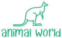 Animal World
